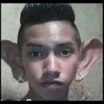 L U Profile Picture
